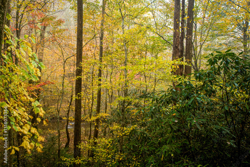 Obraz premium Autumn, Great Smoky Mountains National Park