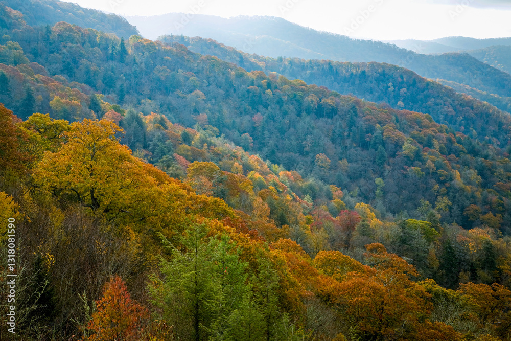 Autumn, Great Smoky Mountains National Park Autumn, Great Smoky Mountains National Park
