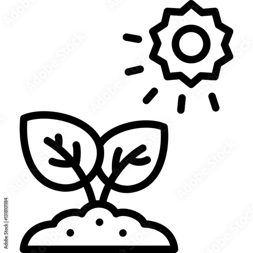 photosynthesis plant icon