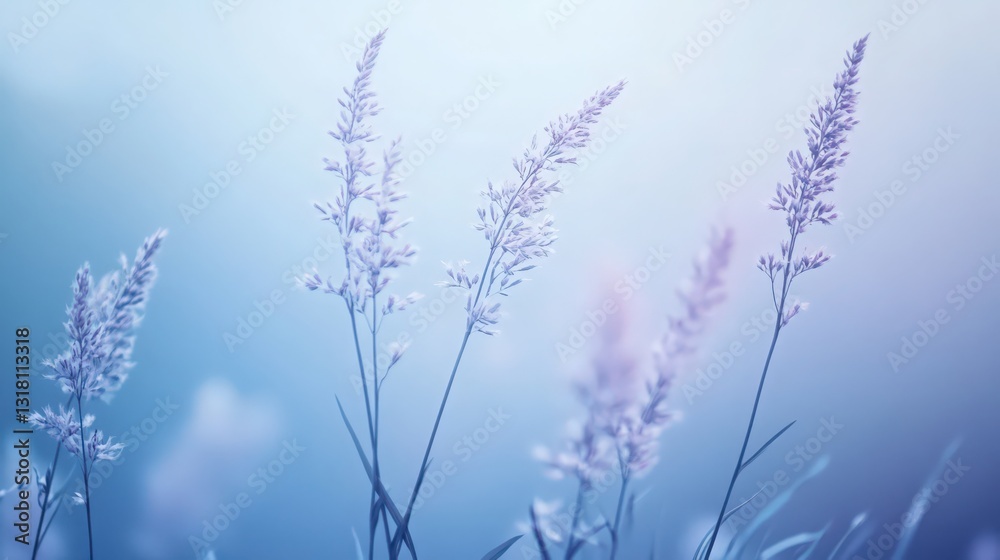 Serene blue field with abstract wild grasses in pastel color aesthetic Serene blue field with abstract wild grasses in pastel color aesthetic
