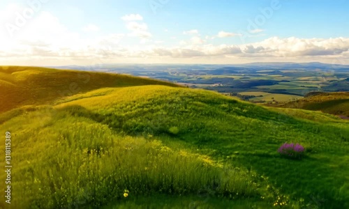 Vast rolling green hills under a clear blue summer sky, stretching endlessly toward the horizon in a peaceful countryside