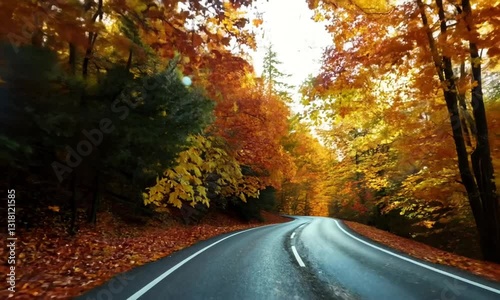 Winding road through a dense autumn forest with golden leaves, dappled sunlight, and a peaceful seasonal atmosphere