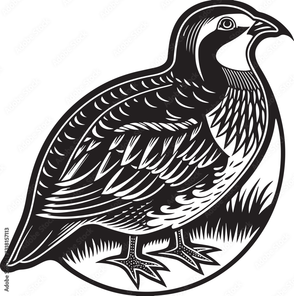 Obraz premium chukar partridge bird silhouette printable design