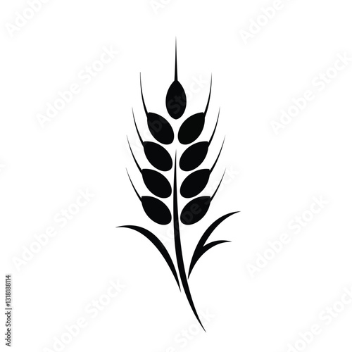 wheat ears isolated on white background