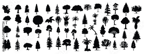 Pine tree silhouette collection on white background. Spruce tree silhouette set on white background
