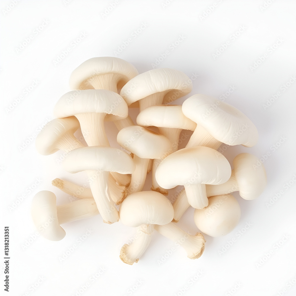 Fresh white mushrooms arranged elegantly on a light background. isolated on white background. Fresh white mushrooms arranged elegantly on a light background. isolated on white background.
