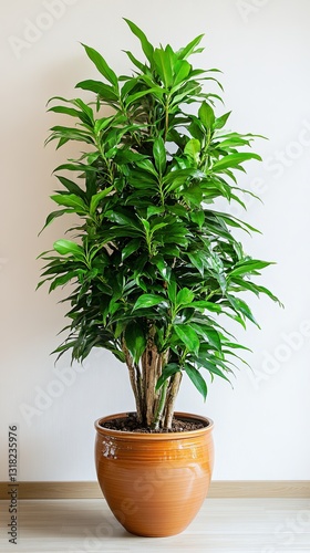 Tall indoor plant in a modern ceramic pot, placed in a bright corner