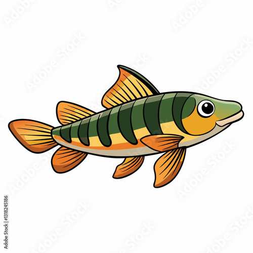 loach fish cartoon vector