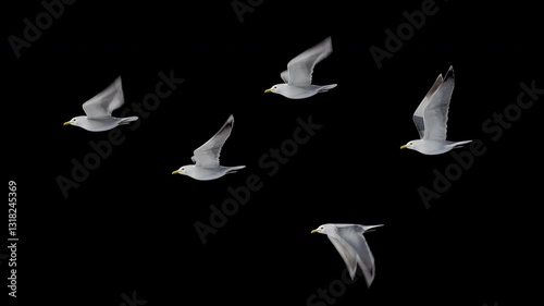 group of seagulls flying loop , alpha Channel, you can add any background to it. seagull soaring over the Mediterranean sea. Flock of birds flies in strong winds.3d animation of flying bird loop