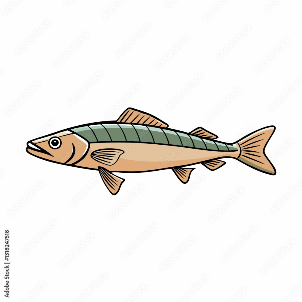 Fototapeta premium vector illustration of a fish