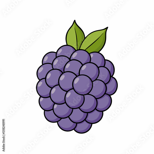 vector illustration of grapes