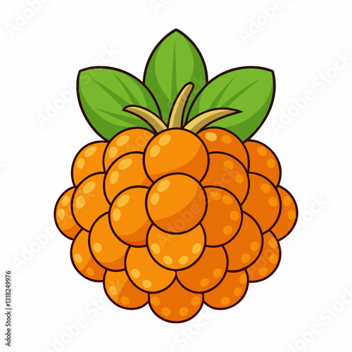 vector illustration of a cloudberry fruit