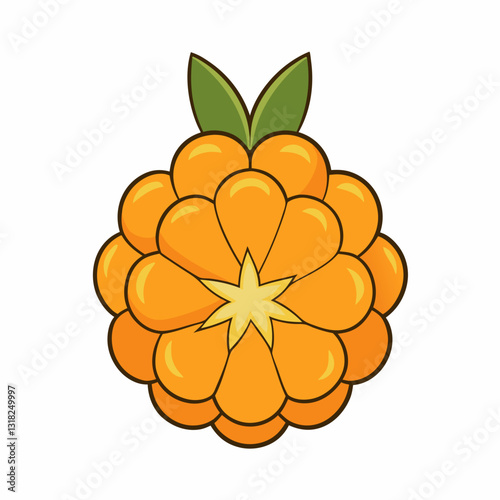 vector illustration of a cloudberry fruit