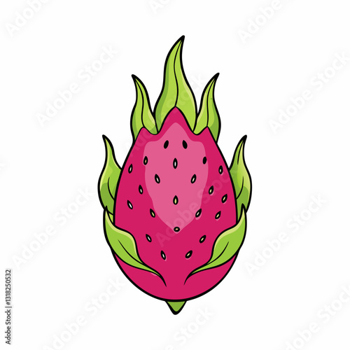 dragon fruit vector illustration