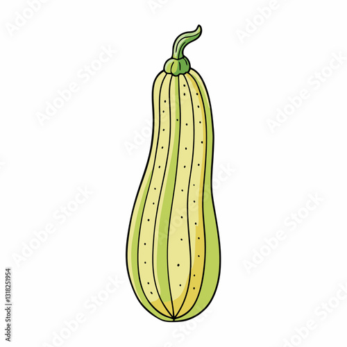 zucchini isolated on white background