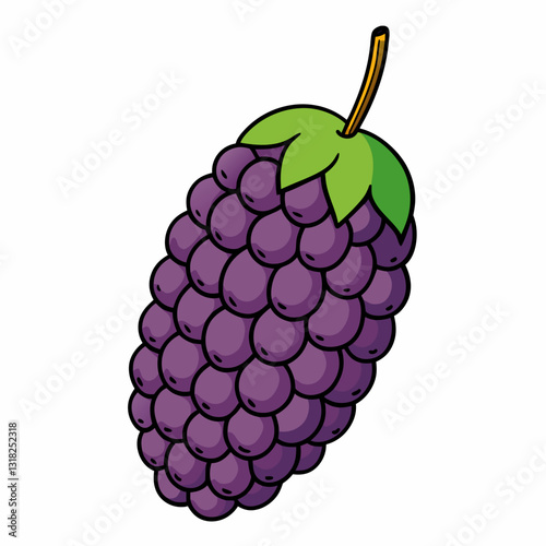 raspberry and blackberry