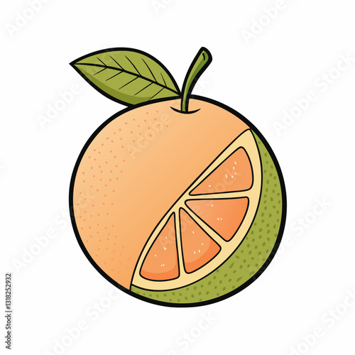 vector illustration of an orange