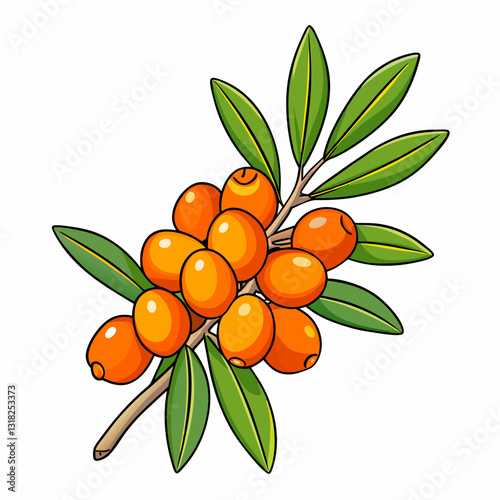 vector illustration of a branch with berries