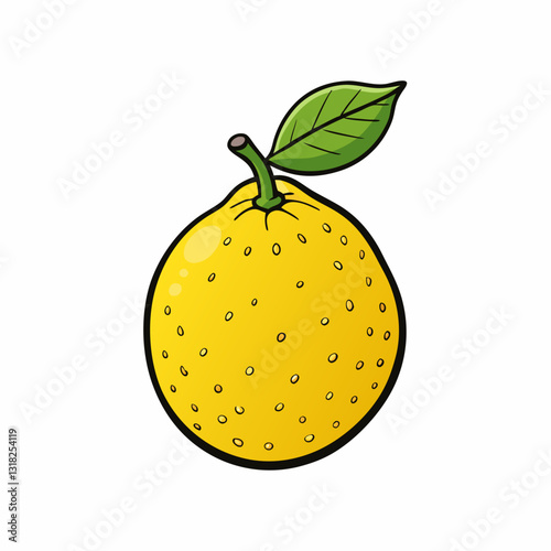 vector illustration of an orange fruit