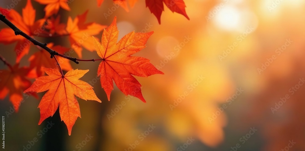 Delicate maple leaves fall from tree branches, maple leaf, branch, nature Delicate maple leaves fall from tree branches, maple leaf, branch, nature