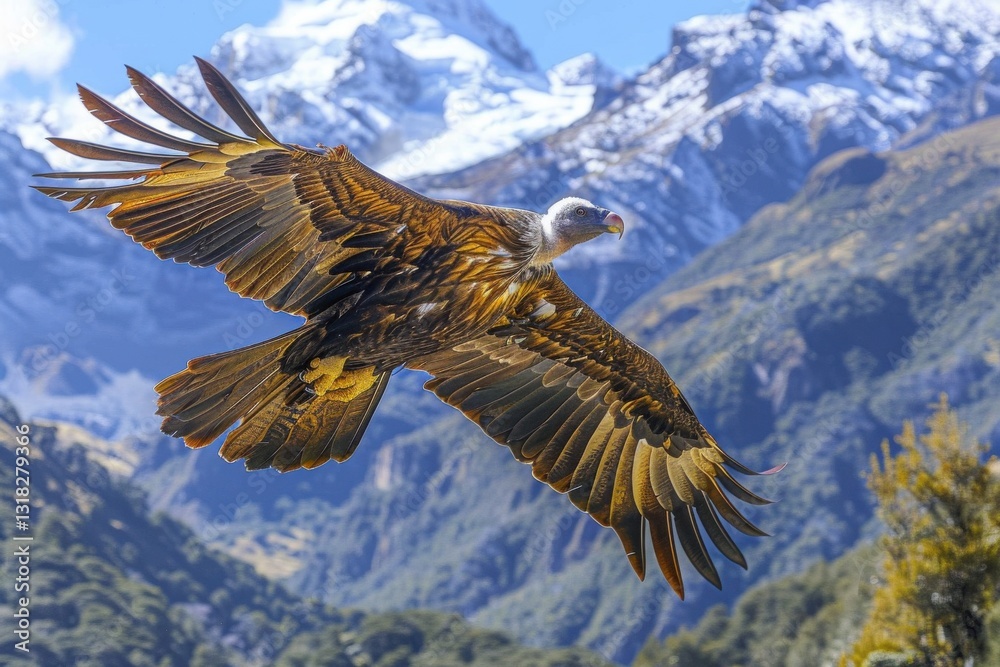 Fototapeta premium Majestic vulture in flight over snow-capped mountains. Breathtaking wildlife scene.