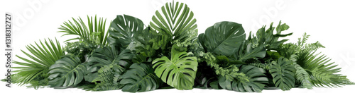 Tropical foliage with monstera and palm leaves in elongated arrangements for decoration