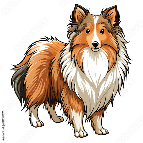 A fluffy Shetland Sheepdog, thick coat, standing proudly,  outdoor setting, natural light.