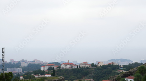 View of pero bravo esmolfe on white background photo