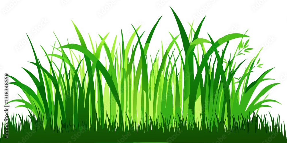 Fototapeta premium Green Grass Meadow Border | Natural Decorative Vector