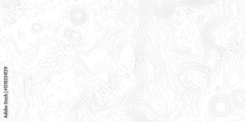 Aesthetic Cartography Redefined: The Synthesis of Geographic Contours, Mountain Relief, and Abstract Flowing Wave Forms to Produce a Striking and Visually Engaging Topographic Design