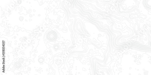 Transforming Traditional Terrain Representation by Incorporating Flowing Wave Motifs and Contour Lines to Create a Dynamic and Immersive Topographic Visualization Experience

