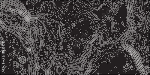 Integrating Organic Wave-Like Forms with the Technical Precision of Contour Mapping to Produce a Topographic Design that is Both Geographically Accurate and Artistically Engaging

