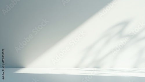 Abstract grey studio backdrop for product presentation, blank space