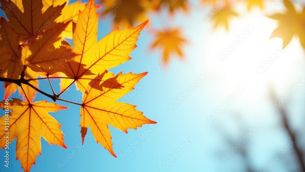 Bright colorful leaves in an autumn landscape under a blue sky. Bright colorful leaves in an autumn landscape under a blue sky.