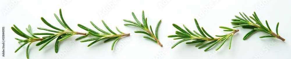 Obraz premium Sprigs of fresh rosemary on a plain white surface, rosemary, foliage