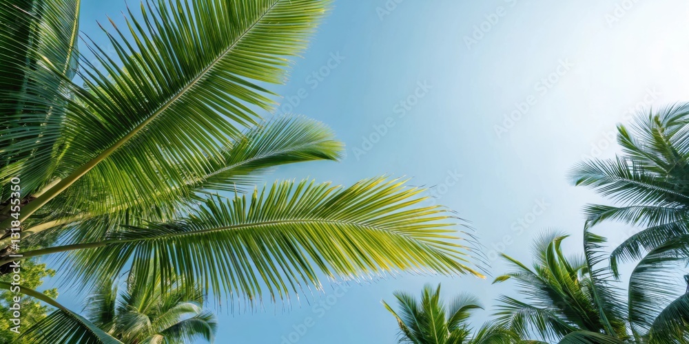 Fototapeta premium A low angle view of a vibrant palm tree frond against a bright blue sky with sunbeams streaming through the leaves.