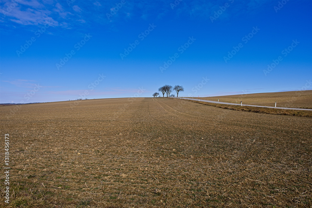 Obraz premium Trees on the Horizon, Empty Field