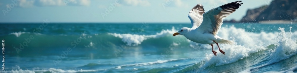 Seagull flying over waves, water, movement, wave Seagull flying over waves, water, movement, wave