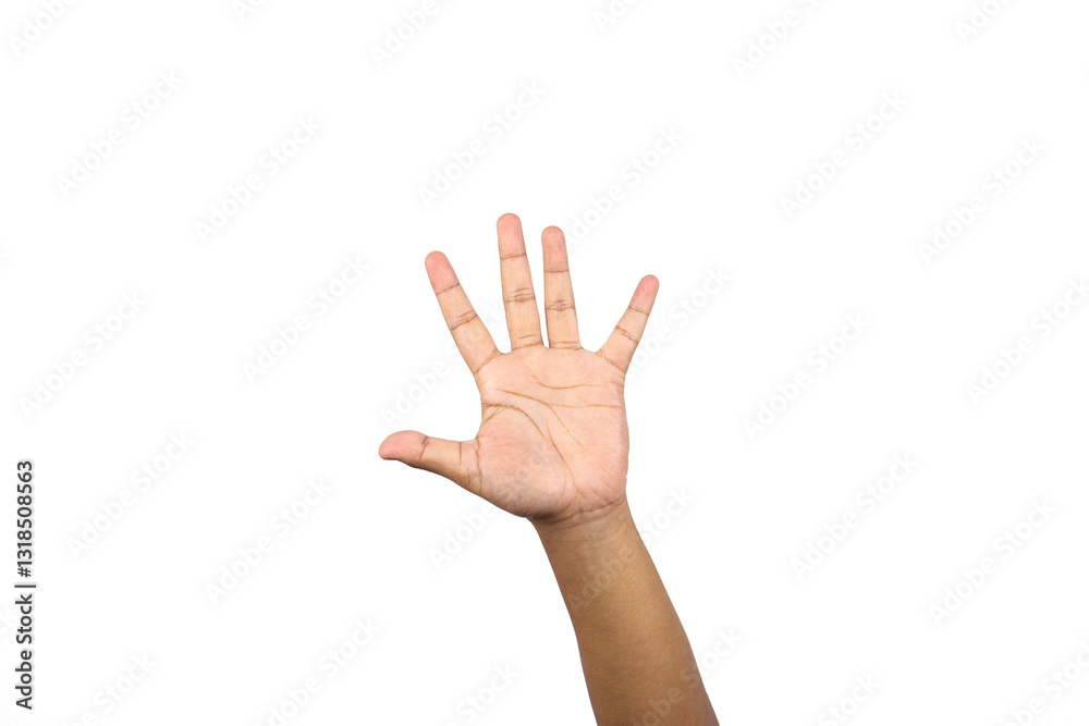 Hand gesture stop isolated on white background Hand gesture stop isolated on white background