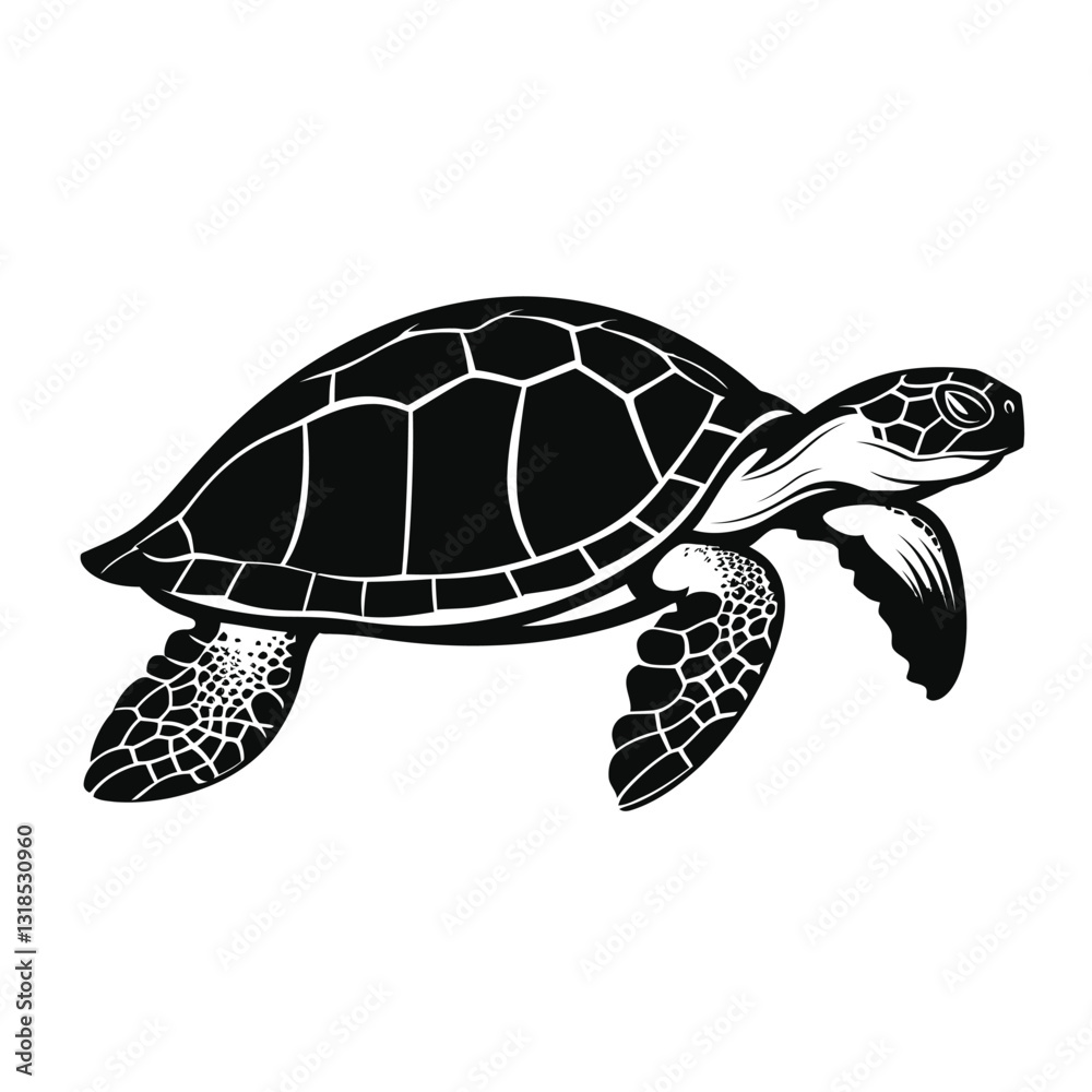 Fototapeta premium black silhouette of a turtle
