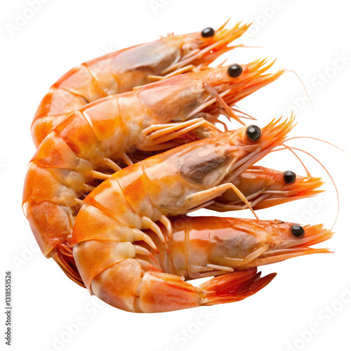 Fresh Zhejiang Shrimp Isolated on White Background

