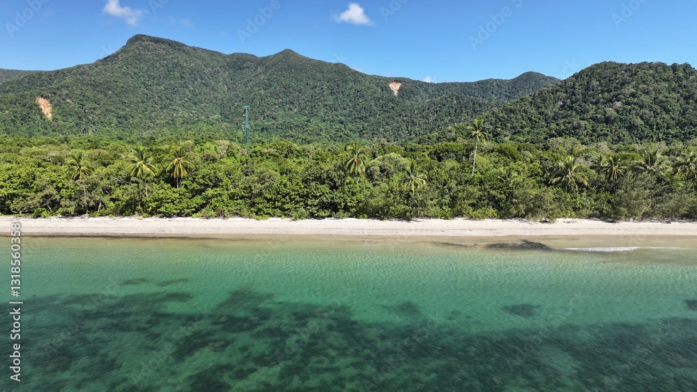 Fototapeta premium Remote Rainforest Australia