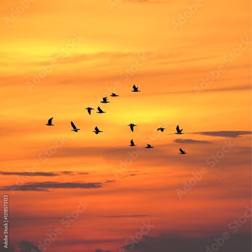 Wallpaper Mural birds in the sky on sunset Torontodigital.ca