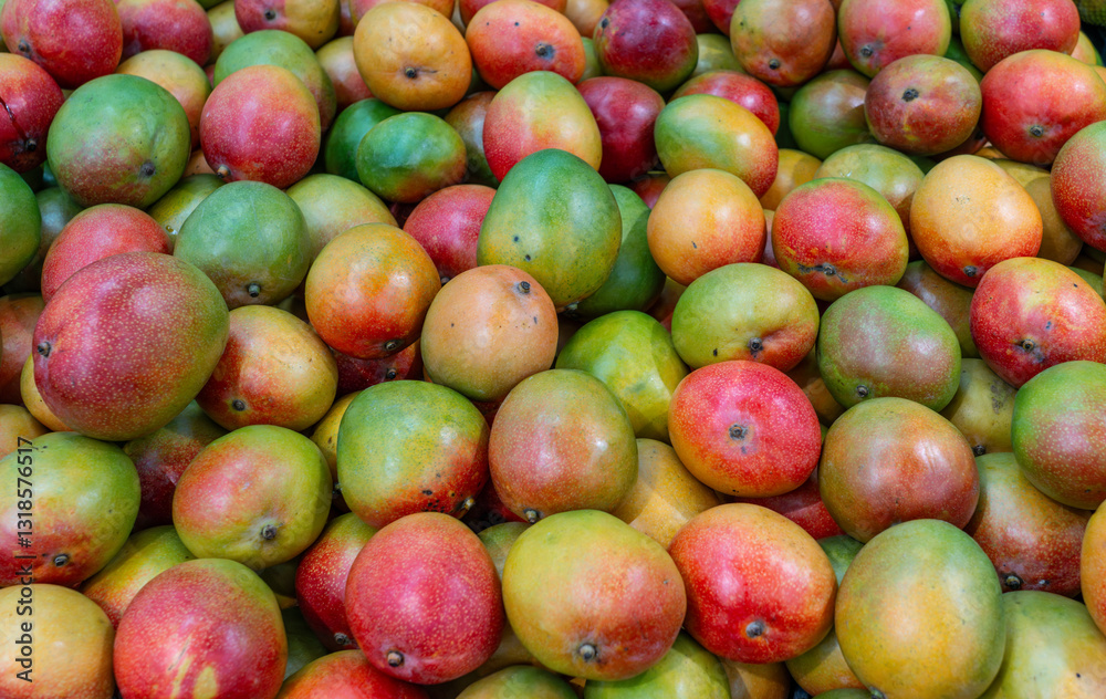 fresh mango in pile in the harvest season fresh mango in pile in the harvest season