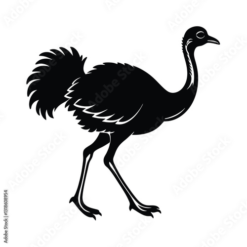 ostrich vector illustration