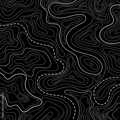 Vector topographic realistic map. Travel illustration with contour lines. Geographic terrain grid, relief height elevation. Ground path pattern. Navigation, cartography design element.