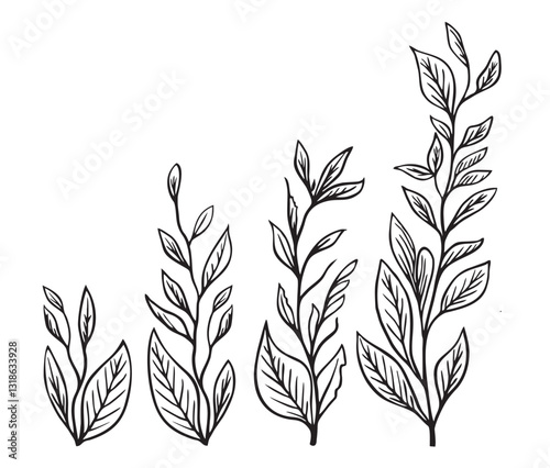 Tree branch hand draw illustration. Black and White twig with leaves collection. Sketch design decorative elements.