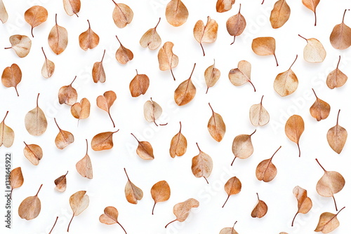 Dried Autumn Leaves Pattern on White Background photo