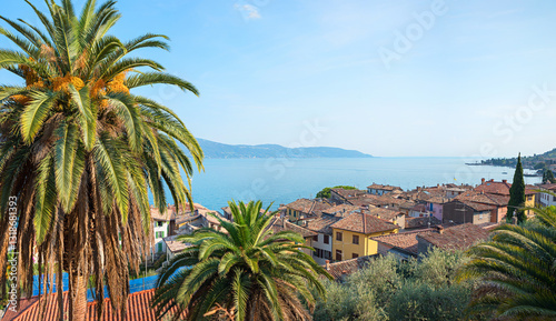 view over Gargnano village, mediterranean landscape with palm trees, lake Gardasee