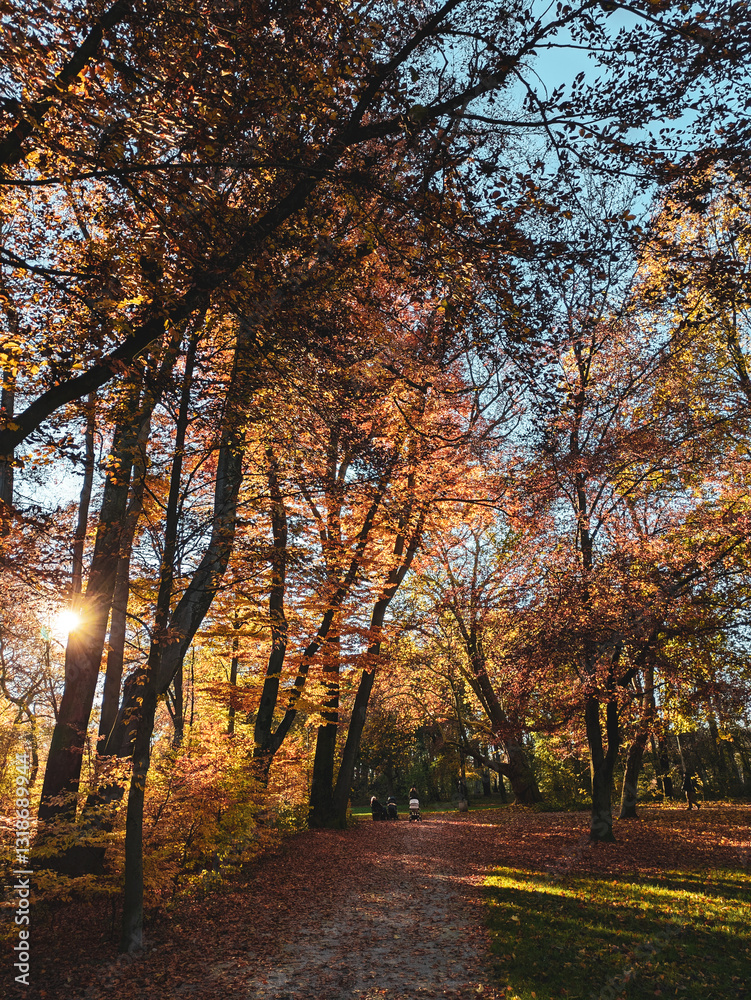 Fototapeta premium Sonniger Herbsttag